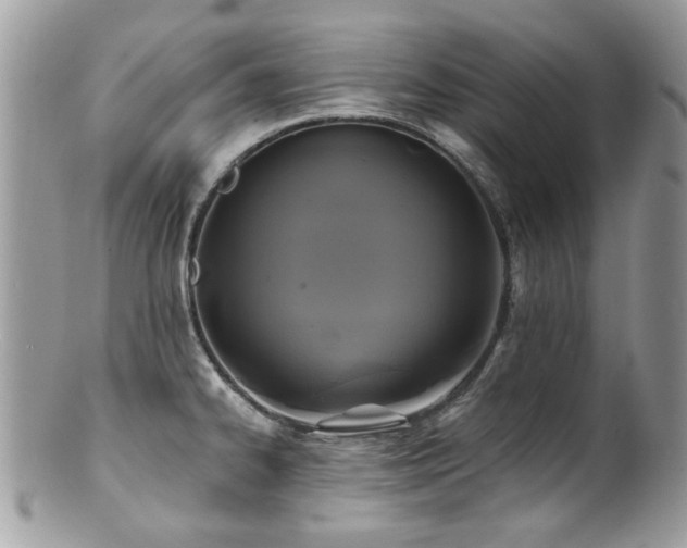 X0000100841334200806201141