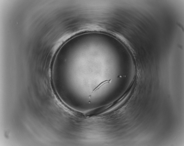 X0000100841335200806201141