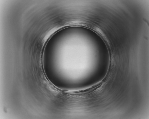 X0000100841336200806201141