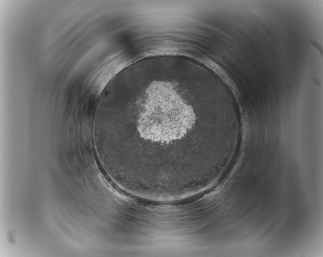 X0000100841337200806201141