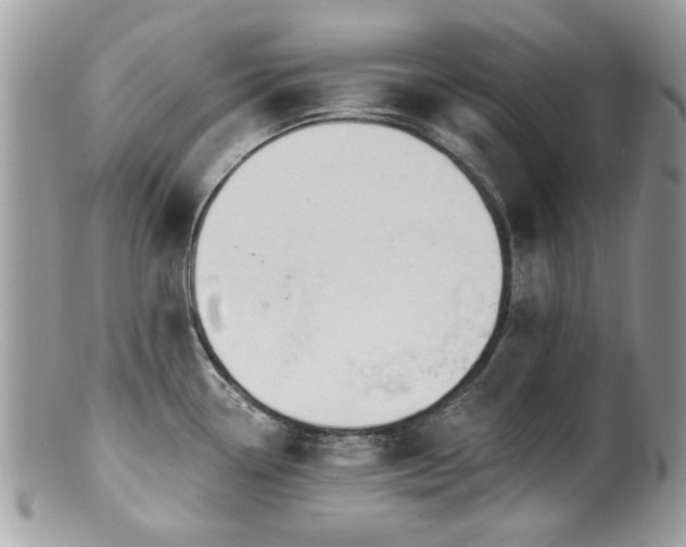 X0000100841338200806201141