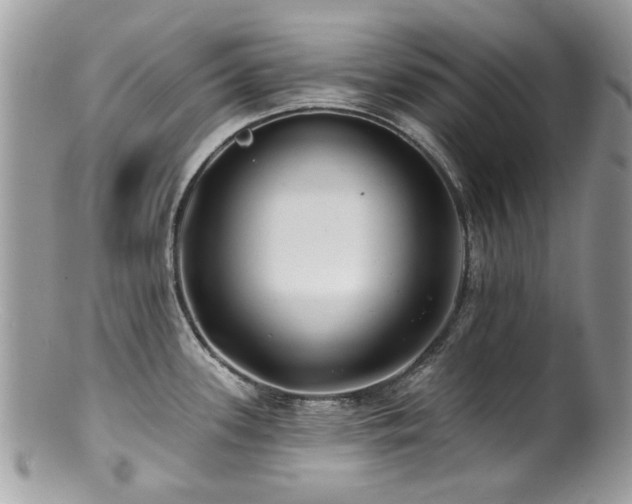 X0000100841339200806201141