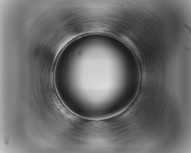 X0000100841340200806201141