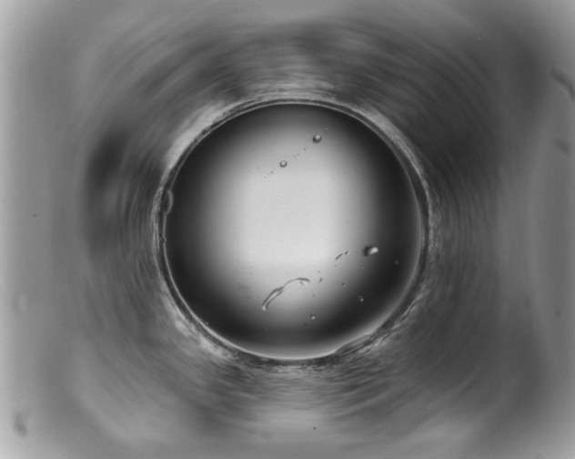 X0000100841341200806201141