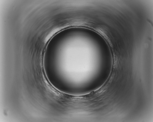 X0000100841342200806201141