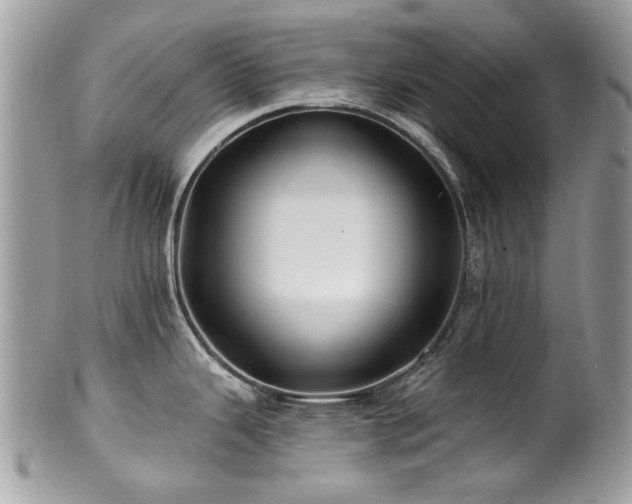 X0000100841343200806201141