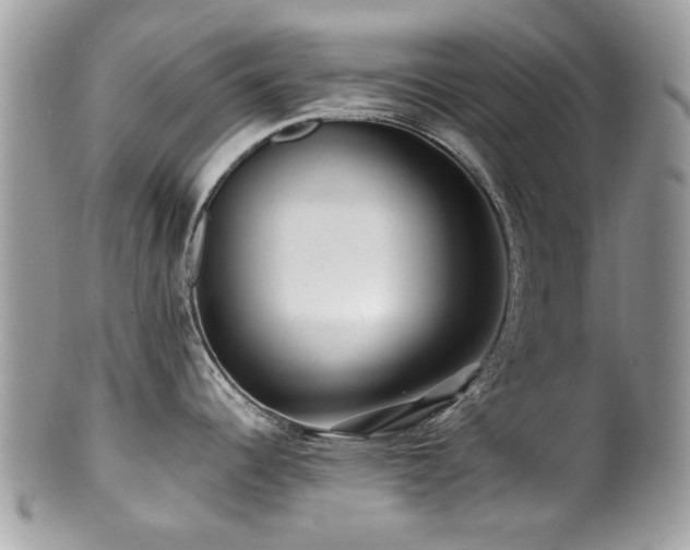 X0000100841344200806201141