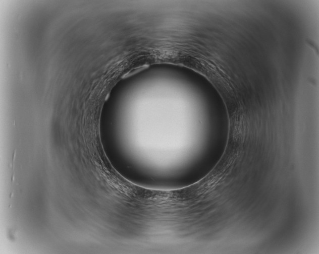 X0000100841345200806201141