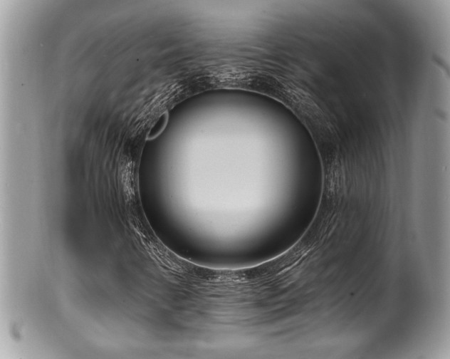 X0000100841346200806201141