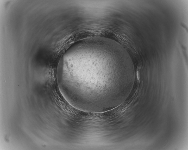 X0000100841347200806201141