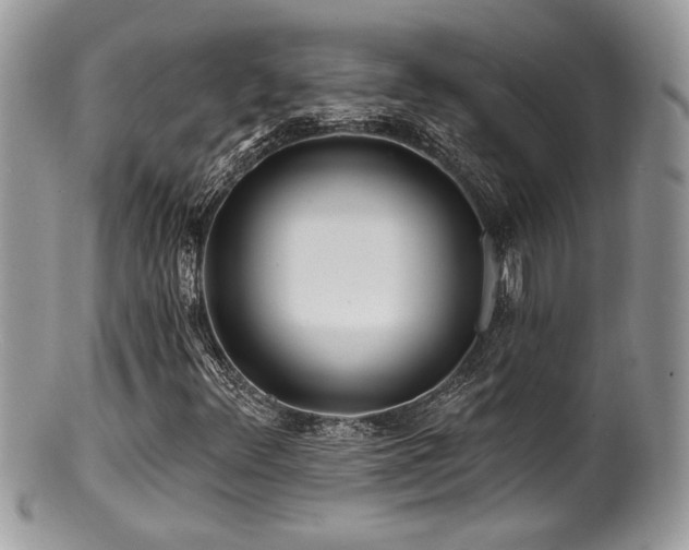 X0000100841348200806201141