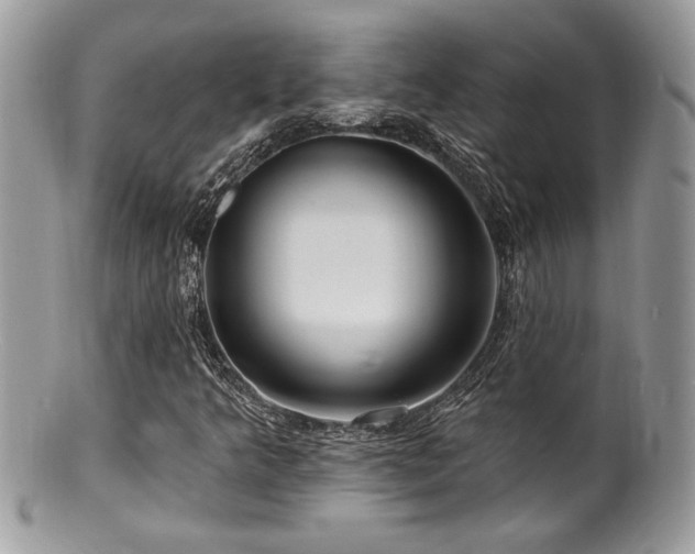 X0000100841349200806201141