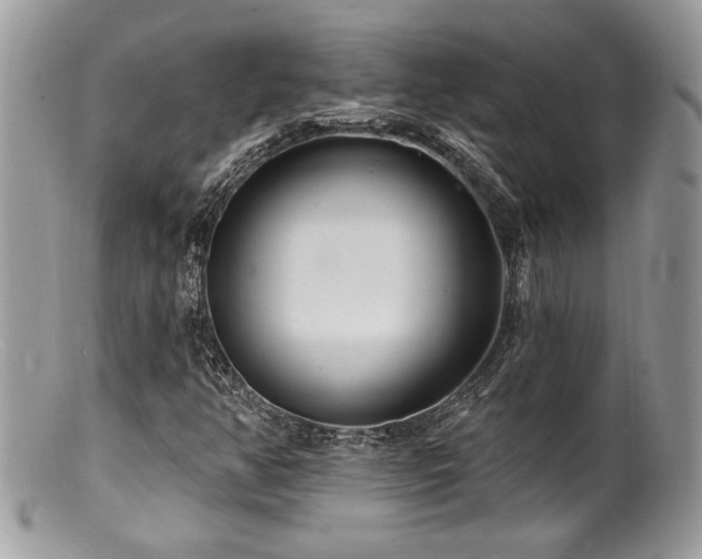 X0000100841350200806201141