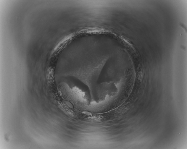 X0000100841351200806201141