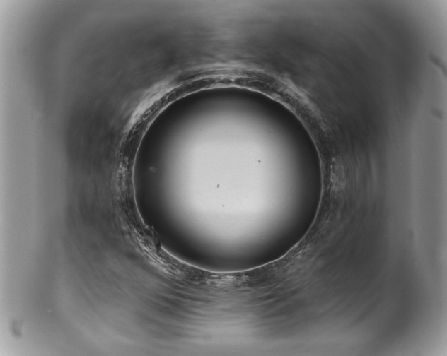 X0000100841352200806201141