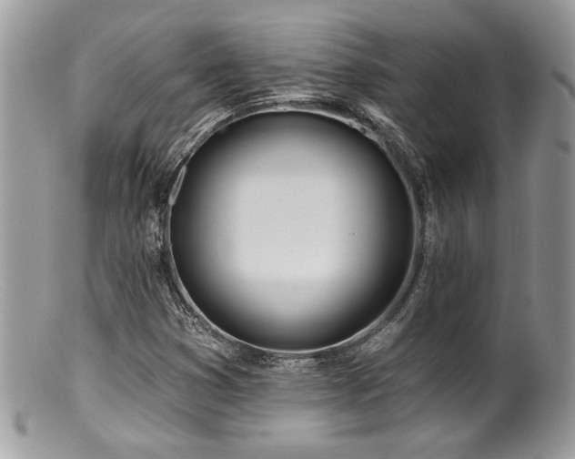 X0000100841353200806201141