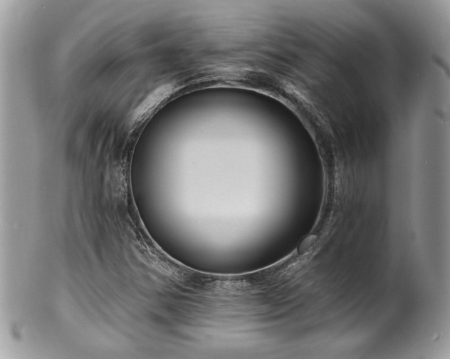 X0000100841354200806201141