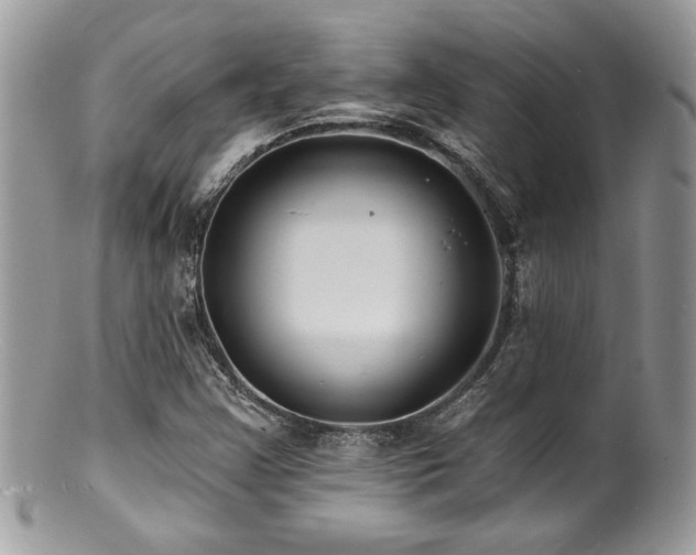 X0000100841355200806201141