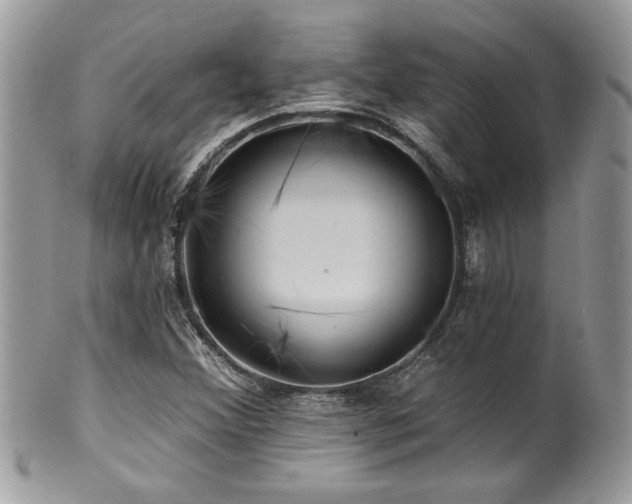 X0000100841356200806201141