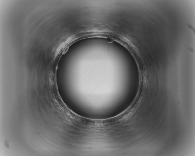 X0000100841357200806201141