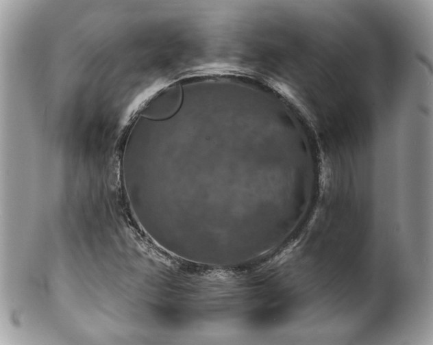 X0000100841358200806201141