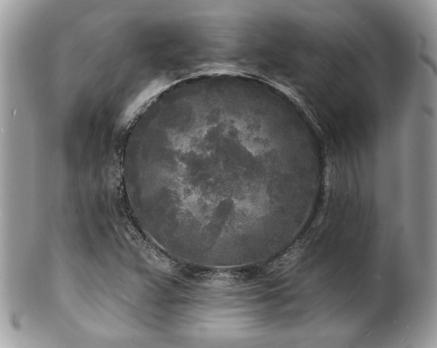 X0000100841359200806201141