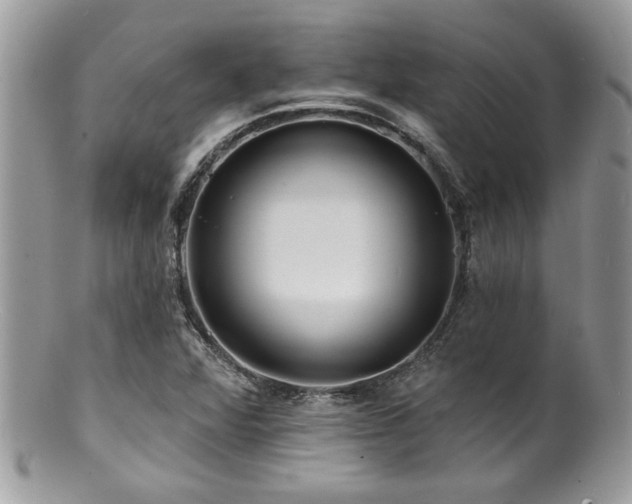 X0000100841360200806201141