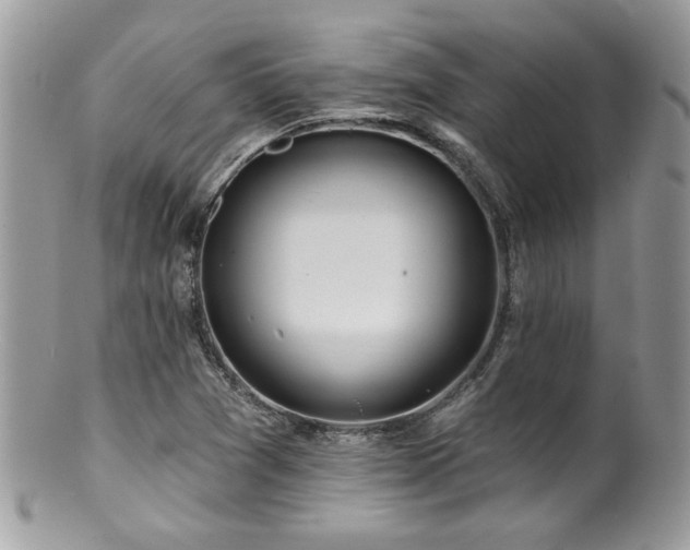 X0000100841361200806201141