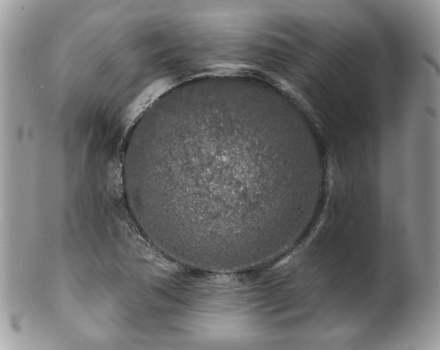 X0000100841362200806201141