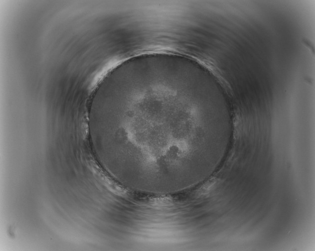 X0000100841363200806201141