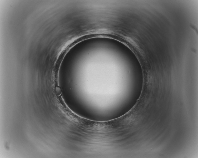 X0000100841364200806201141