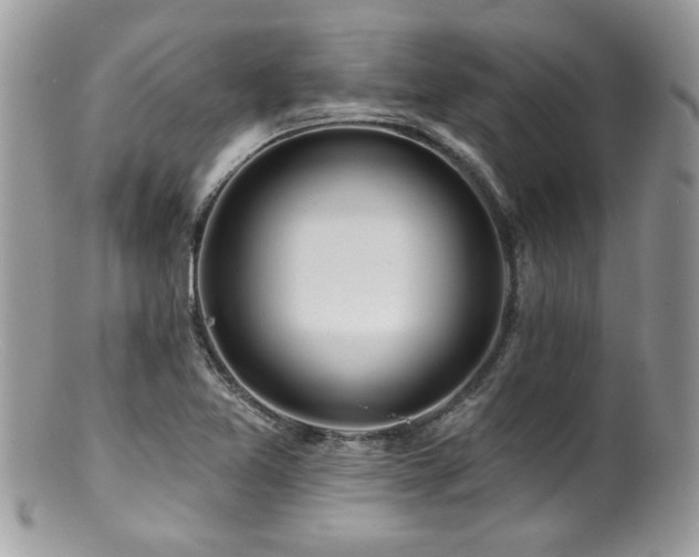 X0000100841365200806201141