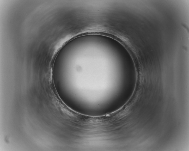 X0000100841366200806201141