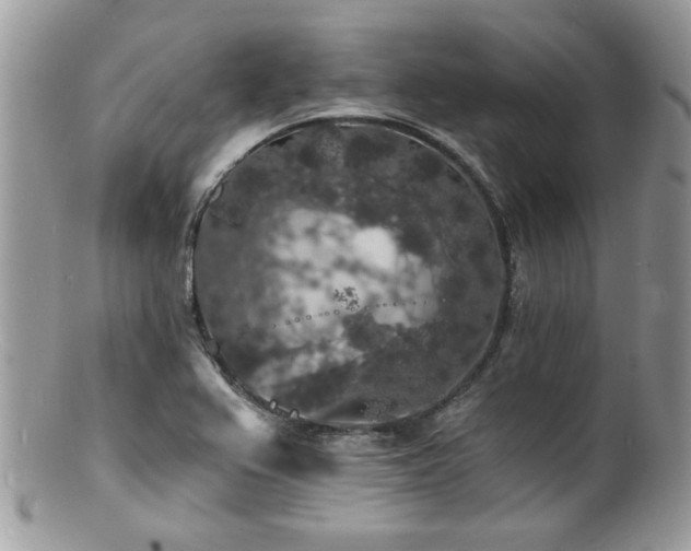 X0000100841367200806201141