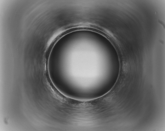 X0000100841368200806201141