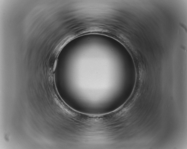 X0000100841369200806201140