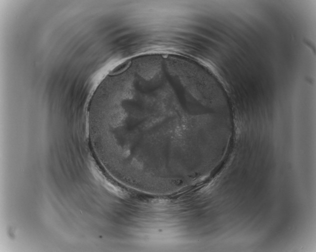 X0000100841371200806201140