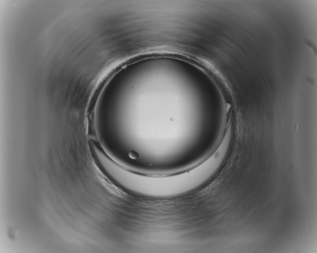 X0000100841372200806201140