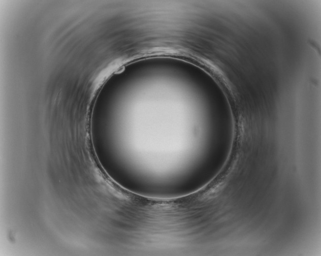 X0000100841373200806201140