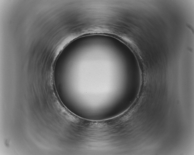 X0000100841374200806201140