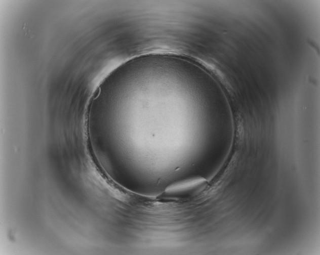 X0000100841375200806201140