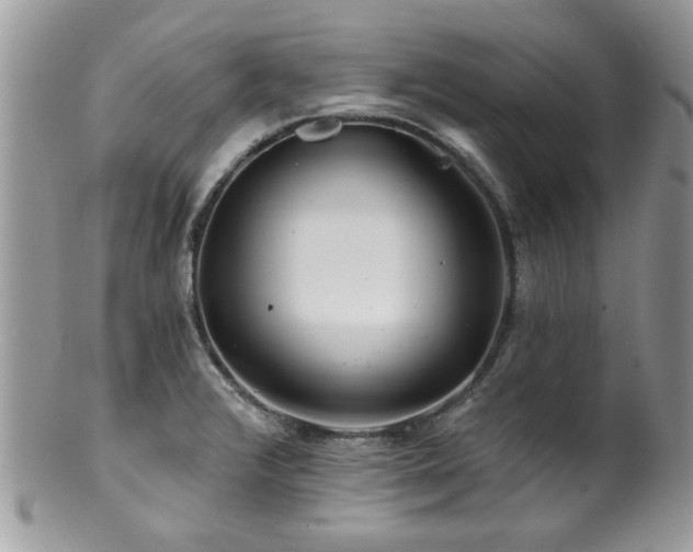 X0000100841376200806201140