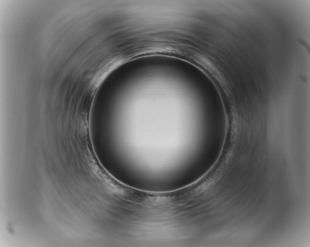 X0000100841377200806201140