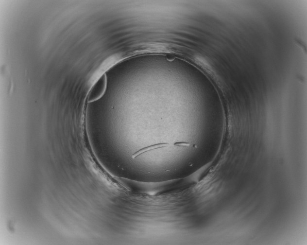 X0000100841378200806201140