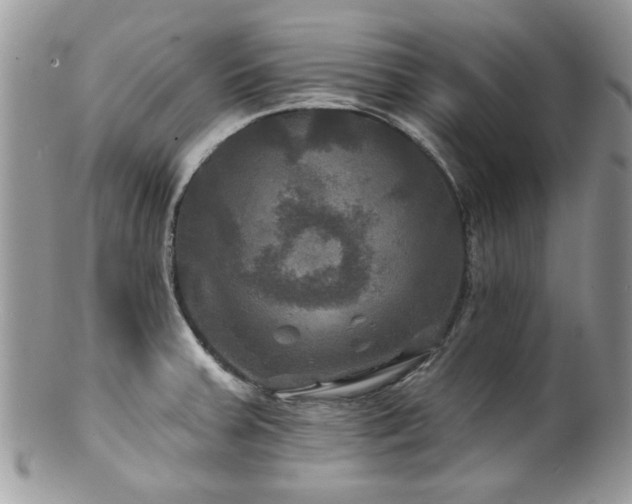 X0000100841379200806201140