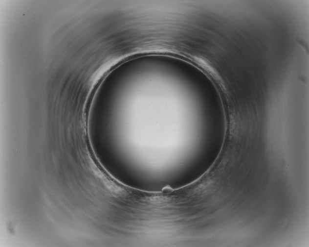 X0000100841380200806201140