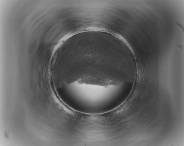 X0000100841381200806201140