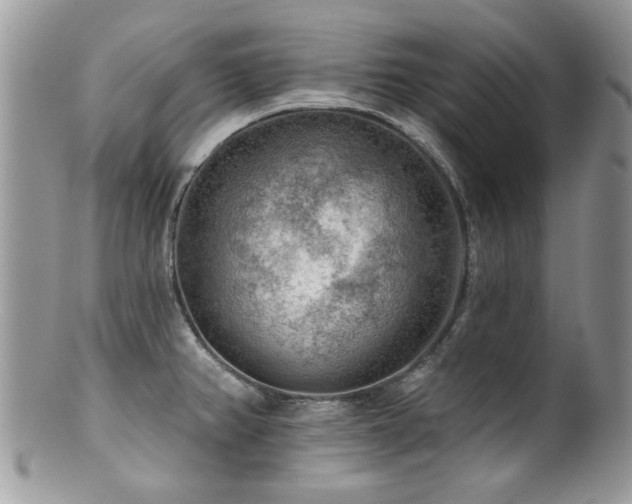 X0000100841382200806201140