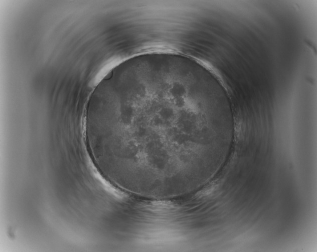 X0000100841383200806201140