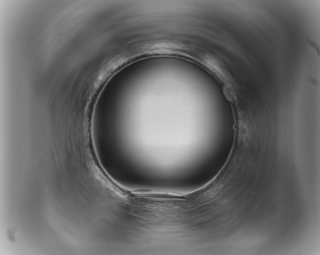 X0000100841384200806201140